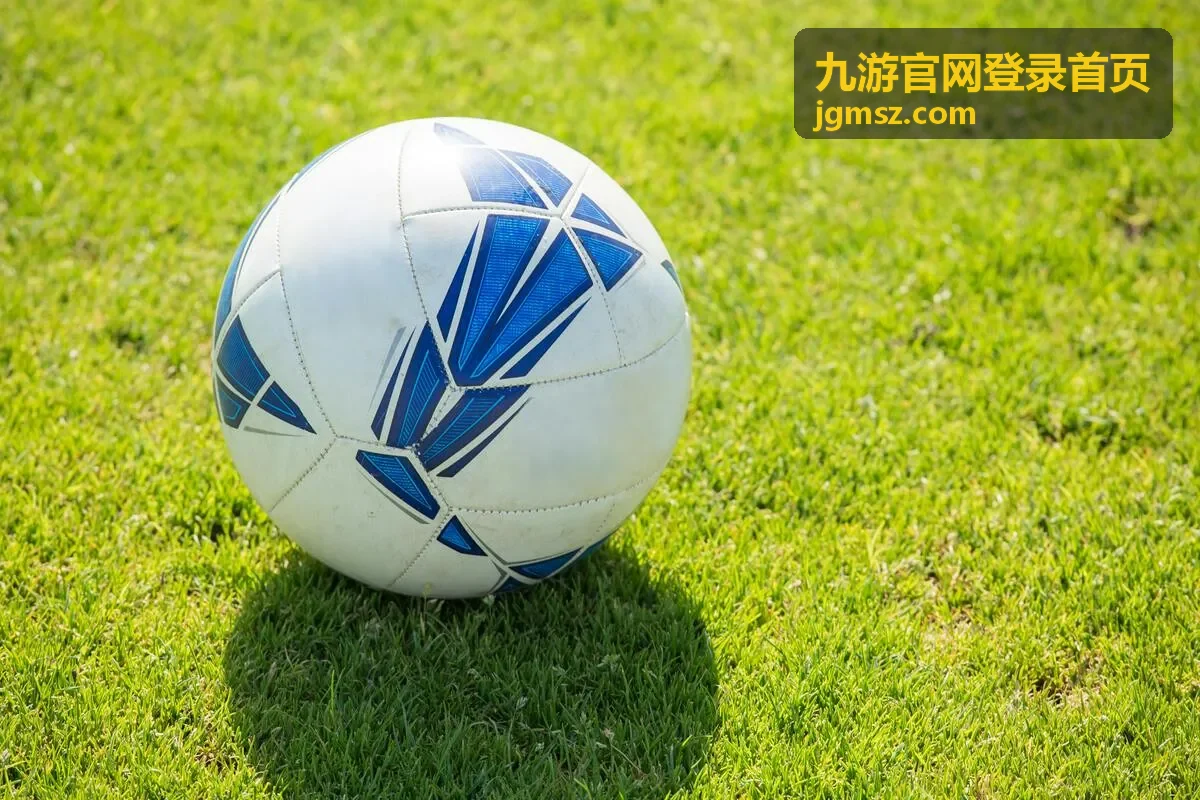九游官网登录首页福利活动分类卡片