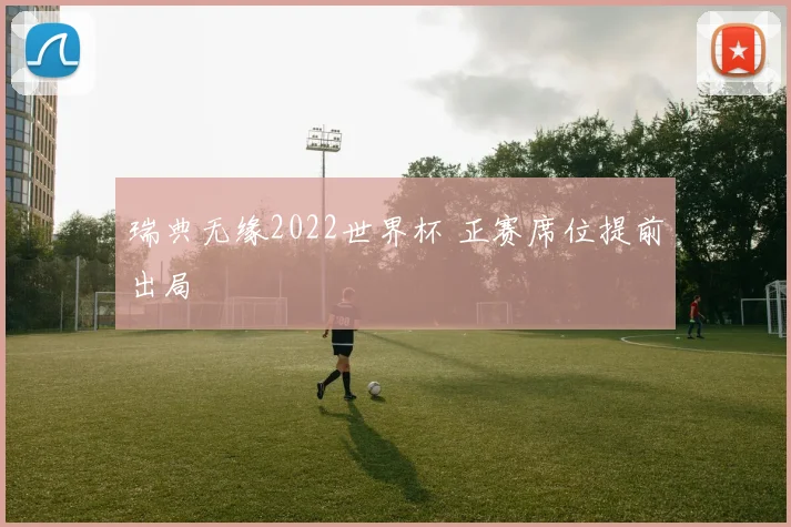 瑞典无缘2022世界杯 正赛席位提前出局