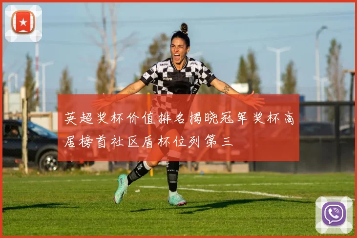 英超奖杯价值排名揭晓冠军奖杯高居榜首社区盾杯位列第三